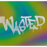 Metal Bank Card – WASTED