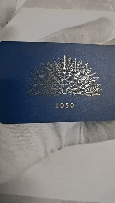 VID-20260403-WA0004